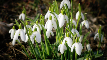 Prognoza meteo pentru 28 martie