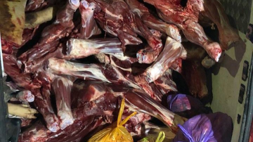 Peste 3 tone de carne și pește, fără acte de calitate și proveniență, urmau să ajungă în pieţele din Capitală