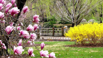 Cum va fi vremea de Florii şi de Paşte!