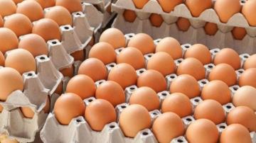 În ajun de Paște, se verifică calitatea ouălor în crescătoriile din țară