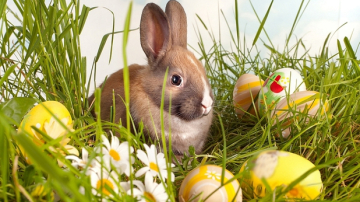 Originea și istoria ouălor, a mielului şi a iepurașului de Paște