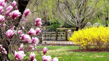 Prognoza meteo pentru 18 aprilie