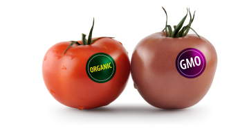 Produsele alimentare modificate genetic - argumente pro, contra, pericole