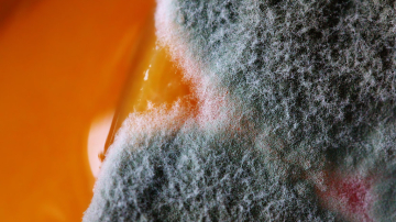 Mucegai depistat într-un pachet de biscuiți de la un magazin specializat (FOTO)