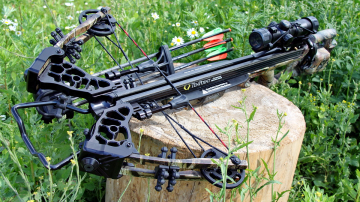 Отец не стал вести сына к стоматологу и удалил больной зуб арбалетом