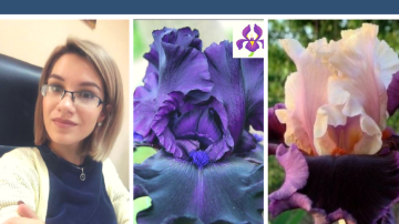 В чем секрет магической красоты ирисов? Советы и рекомендации от Дарьи Мельник