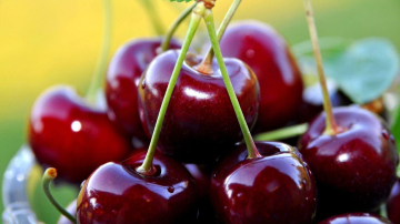 Primele cireşe autohtone au apărut deja în vânzare. Preţurile sunt ASTRONOMICE