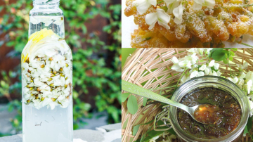 Băutură răcoritoare din flori de salcâm de la Natalia Matiescu