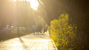 Cum va fi vremea în weekend