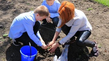 Colectează separat deșeurile și plantează flori. Elevii unui liceu din Capitală învață cum să salveze planeta (FOTO)
