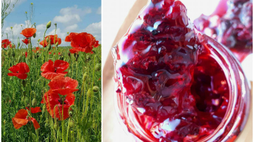 Dulceață din petale de mac sălbatic de la Natalia Matiescu