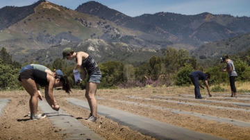 Părinții achită mii de dolari pentru ca odraslele lor să învețe fără telefoane mobile