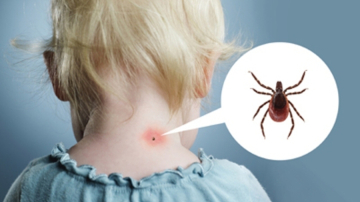 Atenție! Pericolul din spatele căpușelor