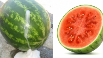 Cum recunoşti un pepene verde injectat