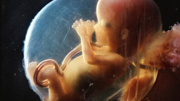 Copil din praf sau patru inovații revoluționare în procesul de fertilizare în vitro