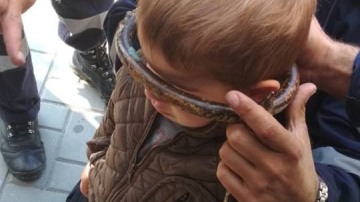 Un copil de 3 ani a intrat cu capul într-o poartă și nu putea să și-l scoată de acolo