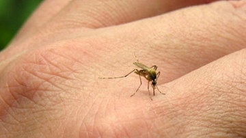 Гель на все времена года