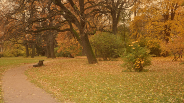 Rețeaua Wi-Fi din Grădina Botanică a crescut numărul vizitatorilor