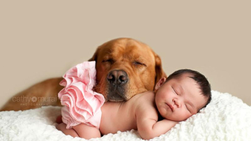 Poze minunate cu câini mari care au grija de copii. Emoții curate!