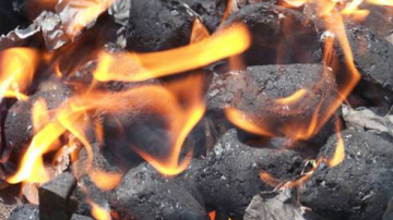 Familiile sărace din Moldova vor primi cărbune din partea Guvernului României