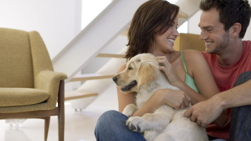 Cum temperatura aerului din locuință influențează asupra relațiilor de familie?