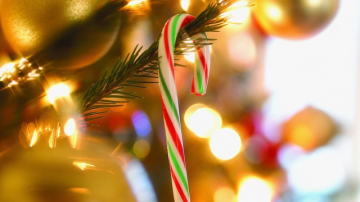 Anul Nou 2015: cum decorăm locuința și bradul, ce bucate pregătim și cum aranjăm masa