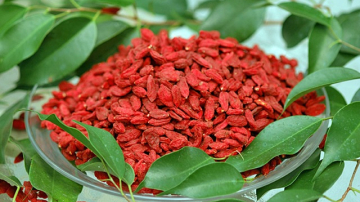 Goji – efecte benefice şi contraindicaţii