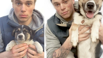 Животные до и после того, как их забрали из приюта