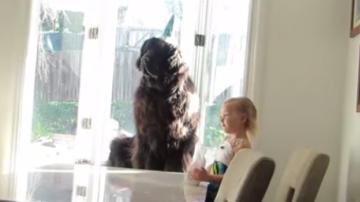 Familia – este o sărbătoare! Un video foarte pozitiv