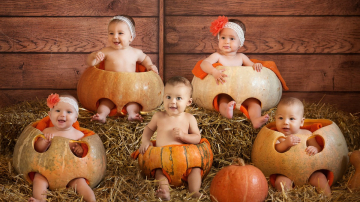 Povestea dovleacului