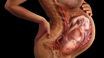 Так выглядит ваше тело! Уникальный фотопроект о том, что скрыто от наших глаз...