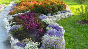 Mai multă viață și culoare! Muncitorii sădesc zeci de mii de flori în Capitală