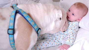 Dragoste de la prima vedere: Lola şi Harper