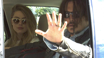 Власти Австралии хотят усыпить собак Джонни Деппа