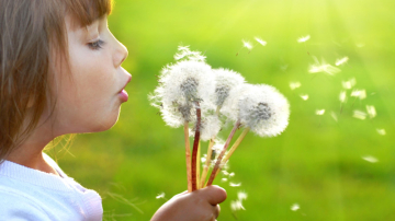 Unde sînt amintirile din primii ani de viață?