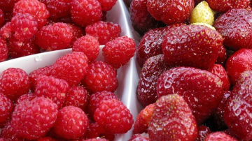 Ягоды в детском меню: врачи советуют родителям следить за рационом своих чад