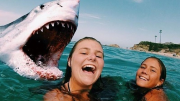 Эпидемия сэлфицида: в этом году из-за селфи погибли 50 человек