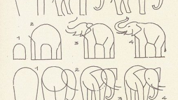 Desenați păsări și animale împreună cu copilul. Nimic mai simplu!