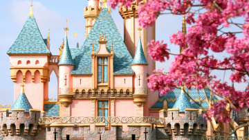 Мир Уолта Диснея — невероятные снимки из парков развлечений