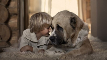Ce avantaje au copiii care cresc alături de animale de companie?