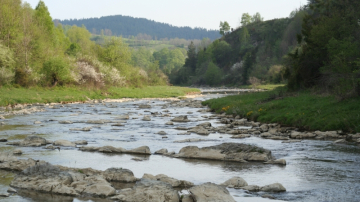 Вода в Днестре опасна для здоровья