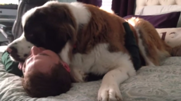 Când vorbim despre iubire, mărimea nu mai contează