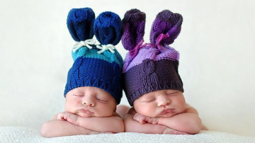 Gemenii: de la concepție până la naștere