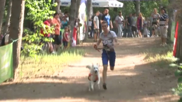 Более 50 собак разных пород участвовали в забеге вокруг озера "Валя Морилор"