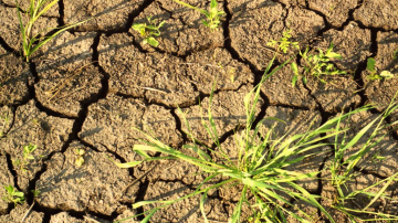 Moldova nu a mai văzut aşa ceva de 30 de ani!