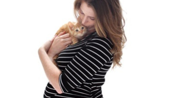 Способы заражения токсоплазмозом, или Ода в защиту кошек