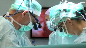 В Британии начнут операции по пересадке матки