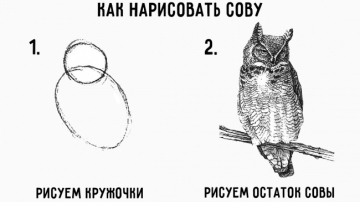 Красивые рисунки карандашом, которые легко нарисовать с детьми