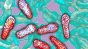 Un singur gram poate ucide un milion de oameni