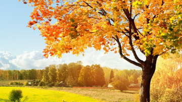 Неделя в Молдове начнется с теплой погоды